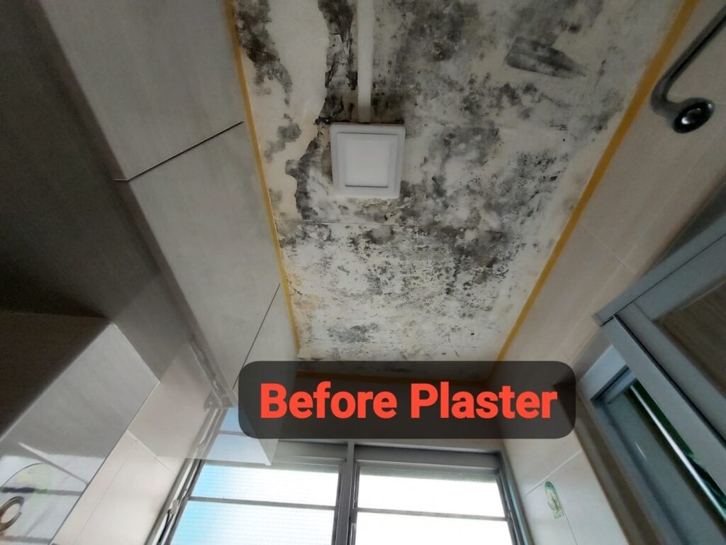 Plaster And False Ceiling Services